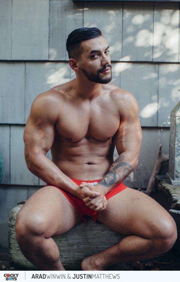 brun musclé